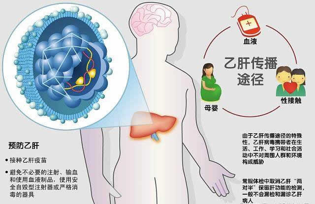 乙肝的預防措施是什么？